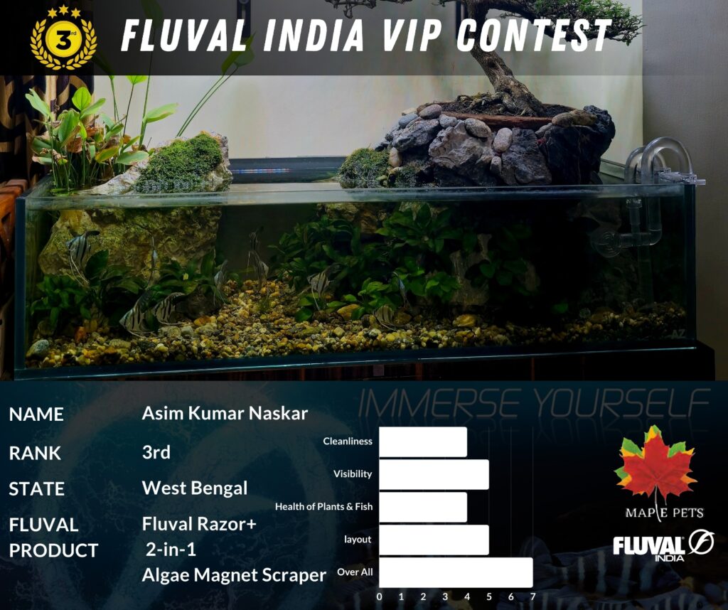 fluval contest